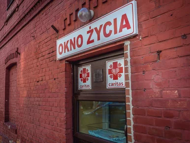 Miniatura: 1,5-roczny chłopiec w oknie życia. U boku...