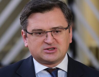 Ukraina chce wykluczyć Rosję z ONZ. „Dziś podjęliśmy ważny krok”
