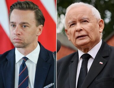 Miniatura: PiS, KO i Konfederacja mają poważny...