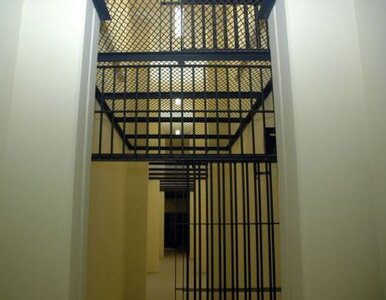 Miniatura: Bohater filmu "127 godzin" aresztowany....