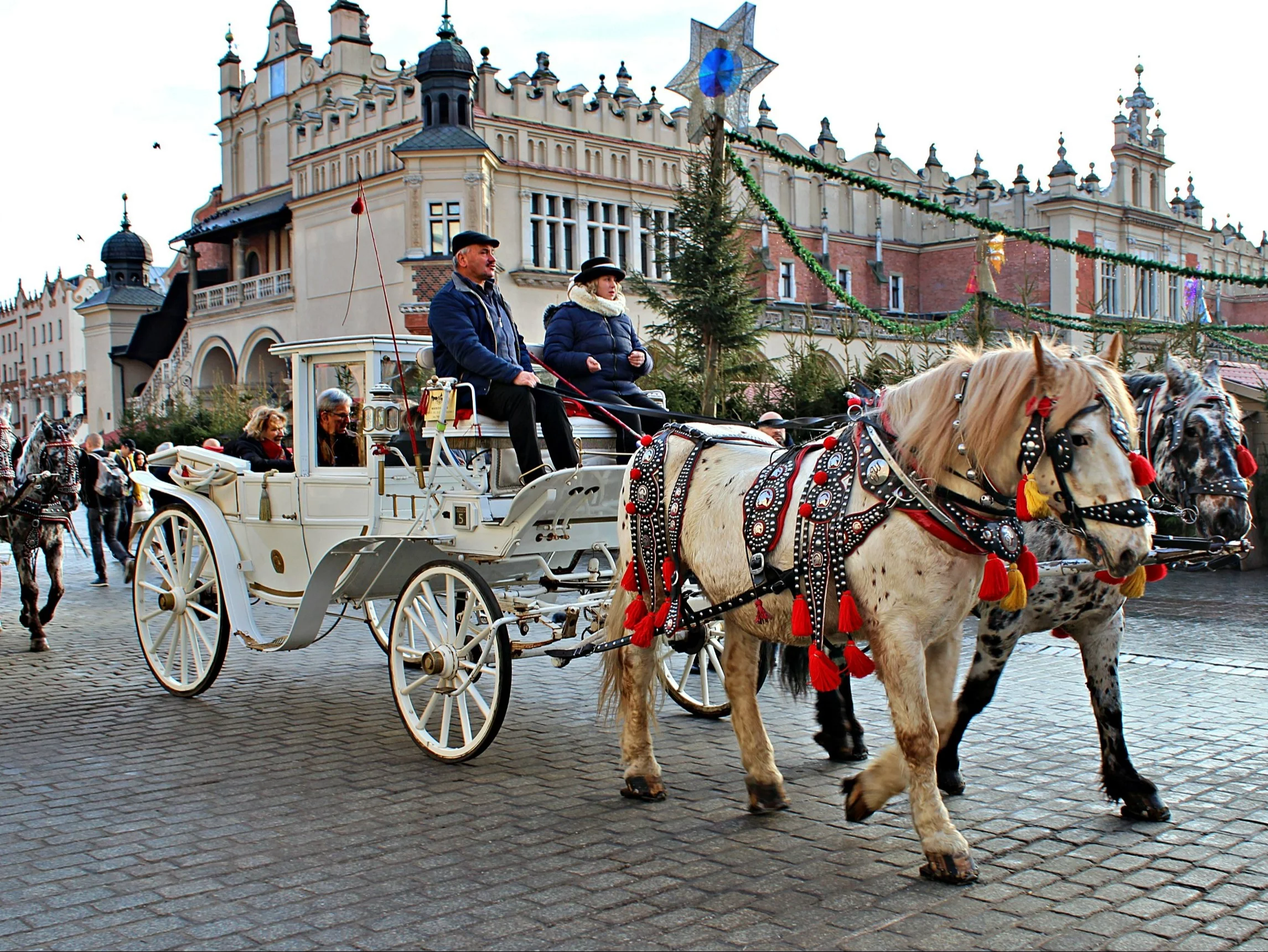 W jakim województwie leży to miasto? Od 4. pytania jest coraz trudniej