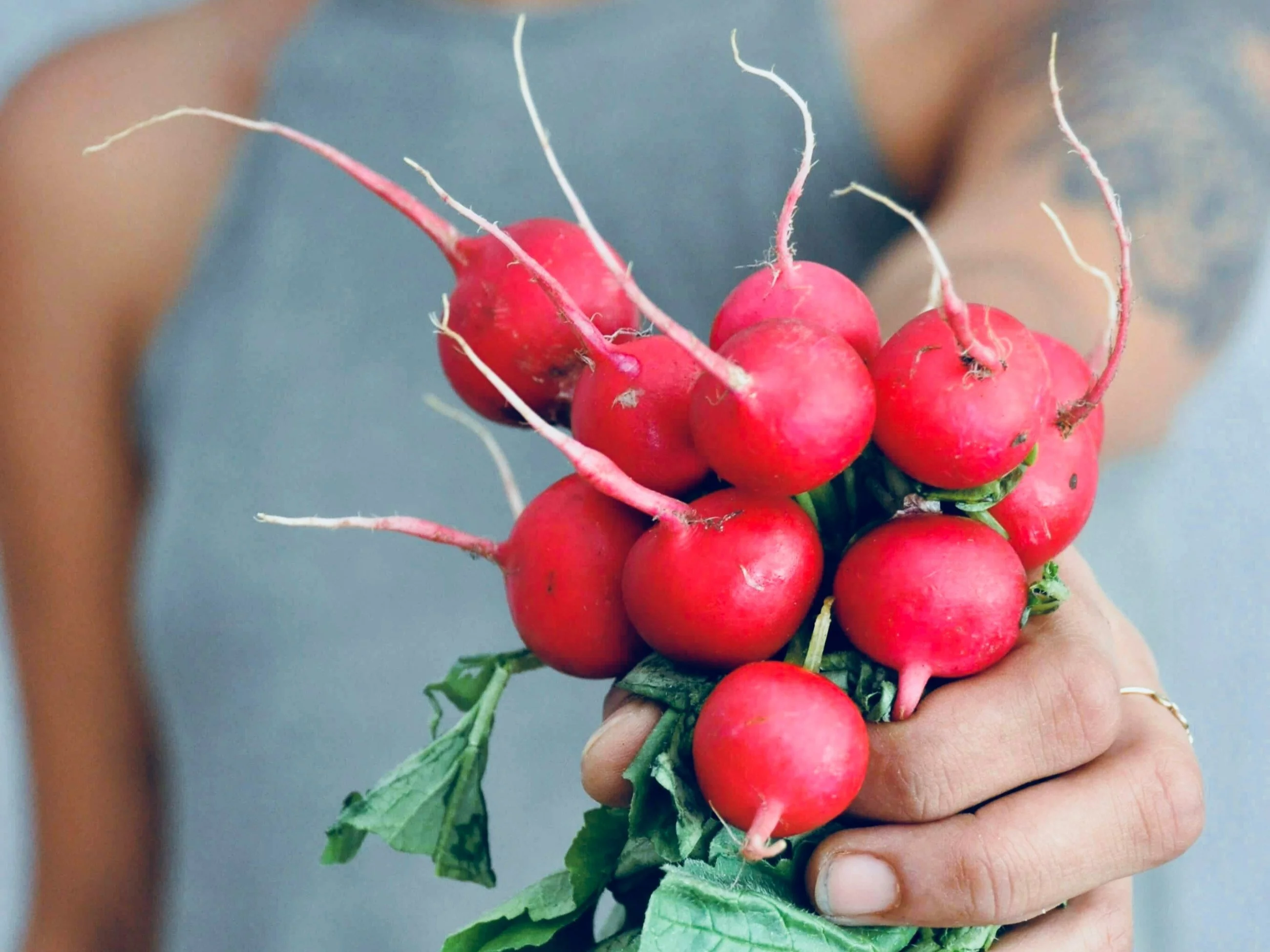 Jak zapisać nazwę tej rośliny?