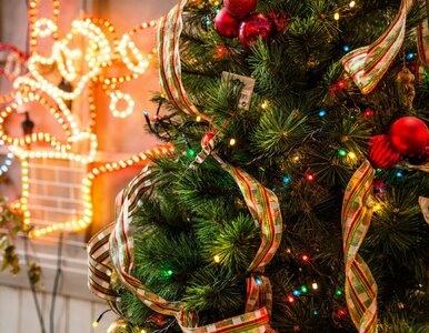 Miniatura: QUIZ. Bożonarodzeniowe zwyczaje. Czy znasz...