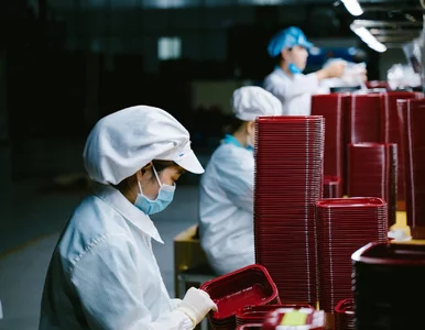 Miniatura: Bez migrantów ani rusz? Polska gospodarka...