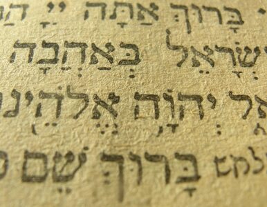 Miniatura: Wrocławianie znów mogą studiować judaistykę