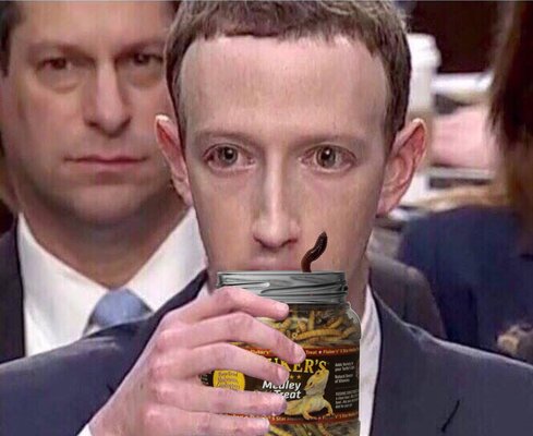 Miniatura: Przesłuchanie szefa Facebooka Marka...