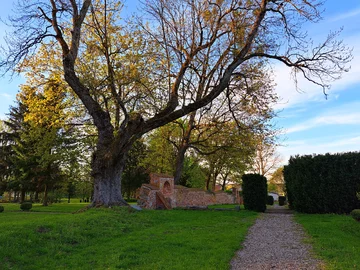 Park w Nakomiadach na Mazurach wiosną 