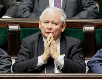 Miniatura: Kaczyński odwołuje szefów struktur partii....