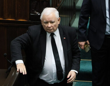 Miniatura: Kaczyński odniósł się do nocnego wybryku...