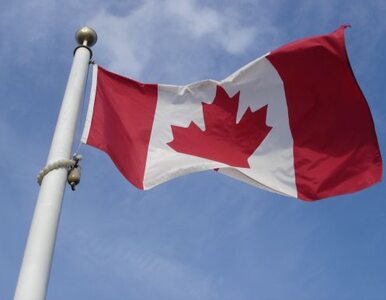 Miniatura: Kanada weźmie udział w atakach na Państwo...