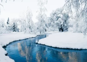 Miniatura: Quiz wiedzy ogólnej na literę „A”. Podołasz?