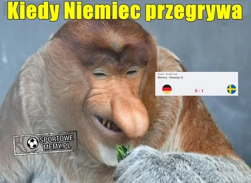 Mem po zwycięstwie Niemców ze Szwecją 