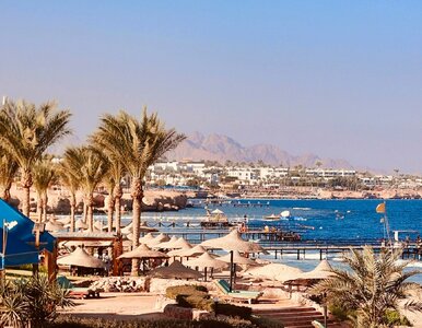 Miniatura: Tanie i dobre all inclusive za 1440 zł....