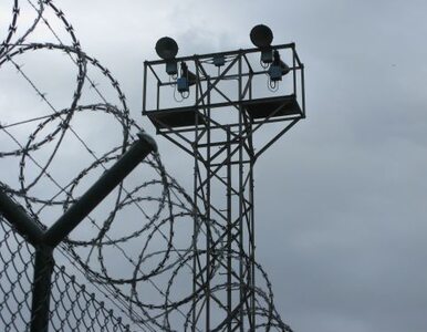 Miniatura: Guantanamo: Amerykanie podają więźniom...