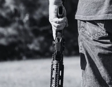 Miniatura: Żyje ich na Ziemi bardzo niewiele. Ursus...