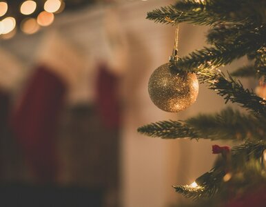 Miniatura: QUIZ. Przysłowia o Bożym Narodzeniu....