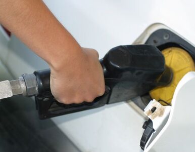 Miniatura: Ceny paliw nie powinny już gwałtownie...