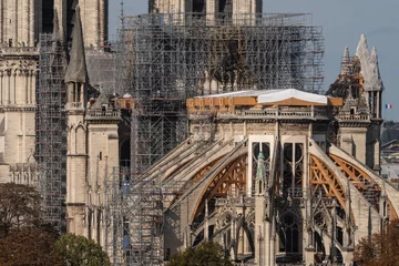 Katedra Notre Dame 