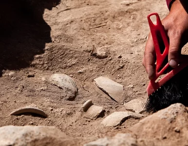 Miniatura: Wyjątkowe odkrycie polskich archeologów....