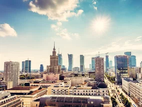 Miniatura: Oto 1000 największych firm w Polsce....