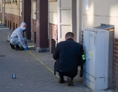 Miniatura: Nożownik zabił 5-latka w Poznaniu. Nowe...