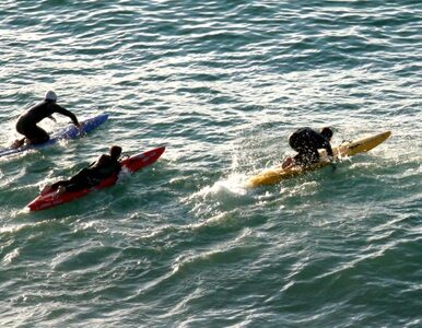 Miniatura: Brazylijski surfer zastrzelony przez...