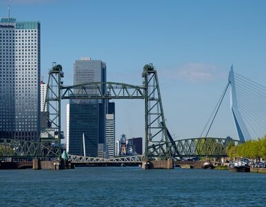 Miniatura: Jeff Bezos podpadł mieszkańcom Rotterdamu....