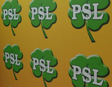 Miniatura: "To księstwo PSL, a on jest księciuniem"