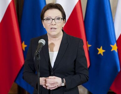 Kidawa-Błońska: Nie ma polityka, który nie robiłby kampanii wyborczej