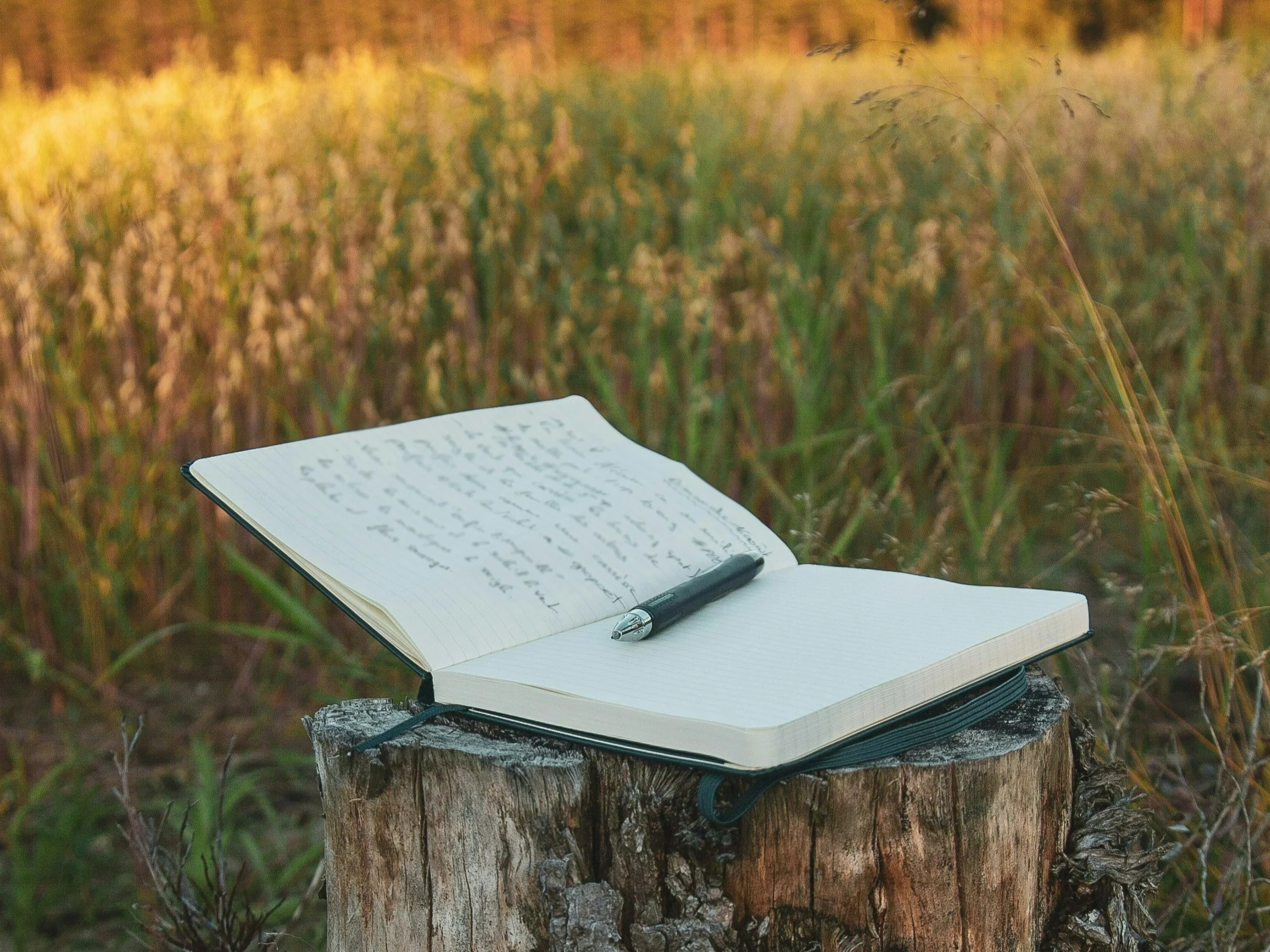 Trudny QUIZ ortograficzny. Na ile pytań odpowiesz?