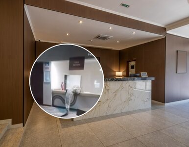 Miniatura: Wielki gad zakradł się do hotelu. Widać...