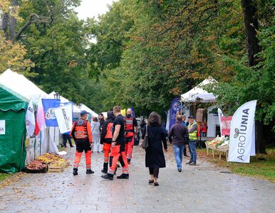 Miniatura: Tragiczny wypadek w czasie konferencji w...