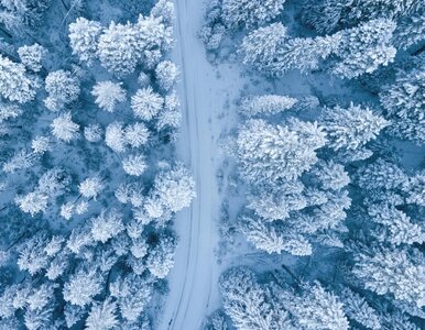 Miniatura: 10 przysłów związanych z pogodą. Znasz je?