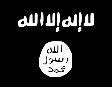 Miniatura: IS rozpoczęło "dużą ofensywę" na...