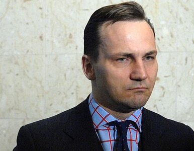 Miniatura: Sikorski: w sprawie Białorusi rząd i...