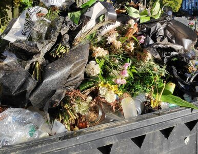 Miniatura: Nowe pojemniki na cmentarzach. Co można do...