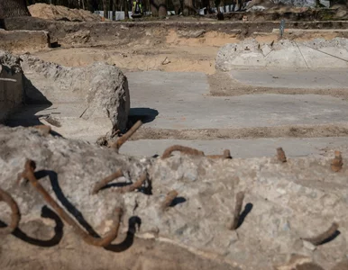 Miniatura: Nowe odkrycie na Westerplatte. Archeolodzy...