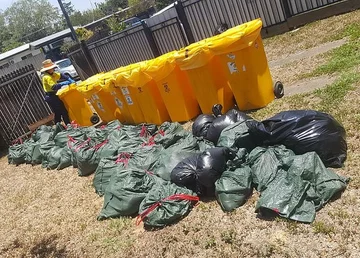 Padlinę sprzątano do worków 