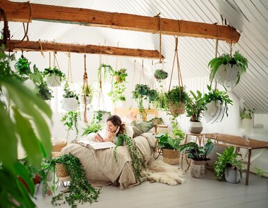 Miniatura: Postaw to w sypialni. Nocą produkuje tlen...