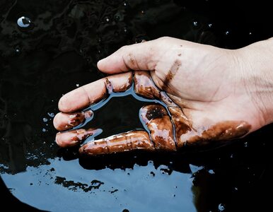 Miniatura: Ropa naftowa najtańsza od sierpnia....