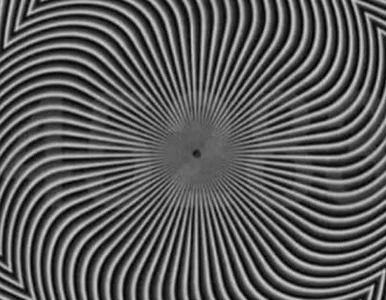 Miniatura: Jaką liczbę widzisz na obrazku? Niewielu...