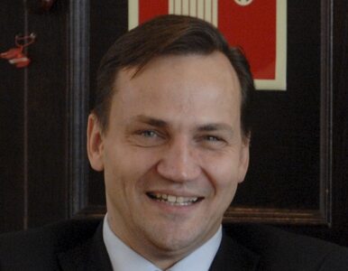 Miniatura: Sikorski: mamy świetnych kandydatów na...