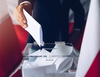 Miniatura: Wybory 2023. Jak oddać ważny głos?