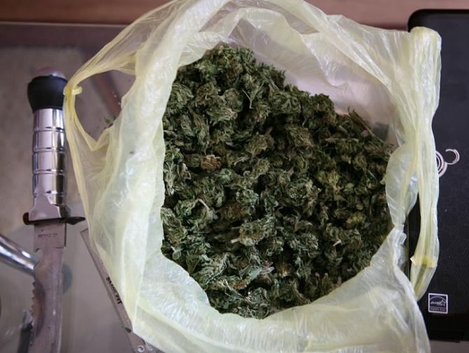 Śledczy zabezpieczyli ok. 200 gramów przygotowanego do sprzedaży wysuszonego oraz porcjowanego narkotyku (fot. Komenda Wojewódzka Policji w Poznaniu)