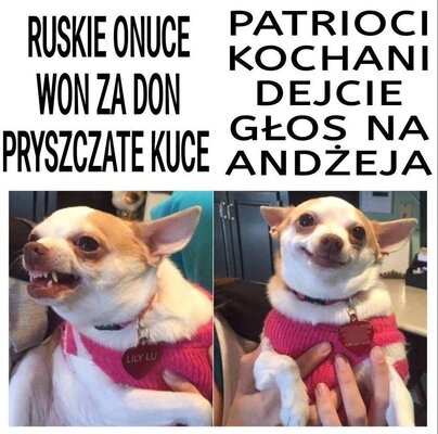 Miniatura: Wybory 2020 memy. Duda i Trzaskowski...