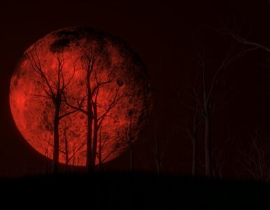 Miniatura: Pełnia Krwawego Księżyca przynosi...