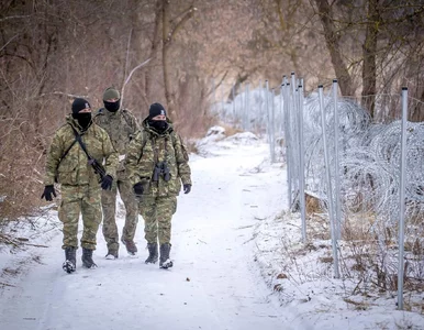 Miniatura: Niespokojnie przy granicy...