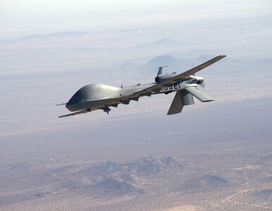 Miniatura: Stany Zjednoczone wysyłają drony bojowe do...