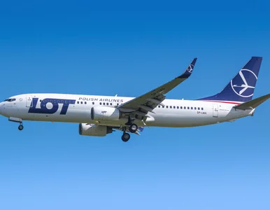 Miniatura: Awantura o rejsy LOT-u do Indii. Giertych:...