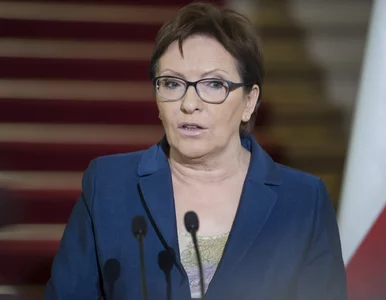 Miniatura: Niemcy wznawiają kontrole na granicach....